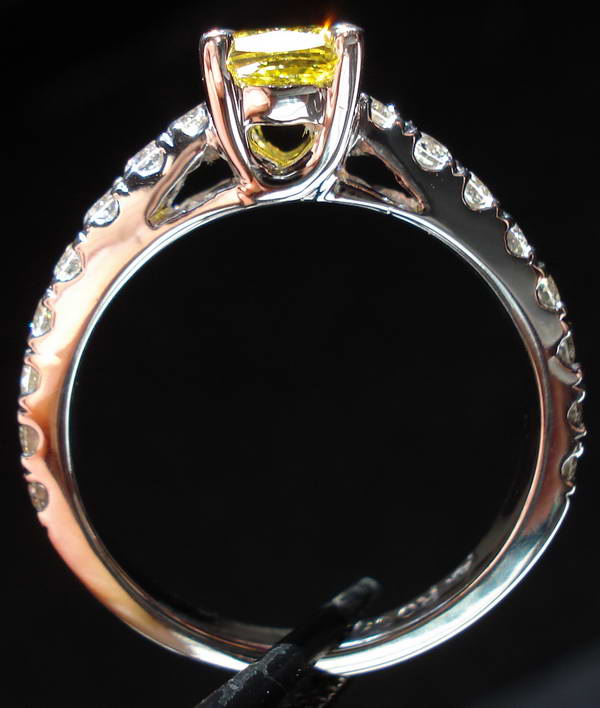 diamond studded lucida